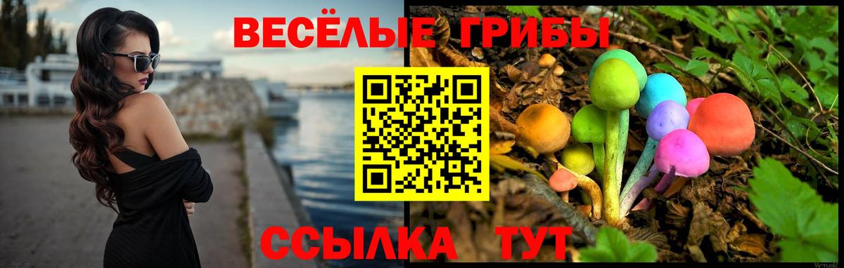 Псилоцибиновые грибы мицелий  Вход с VPN  Еманжелинск 